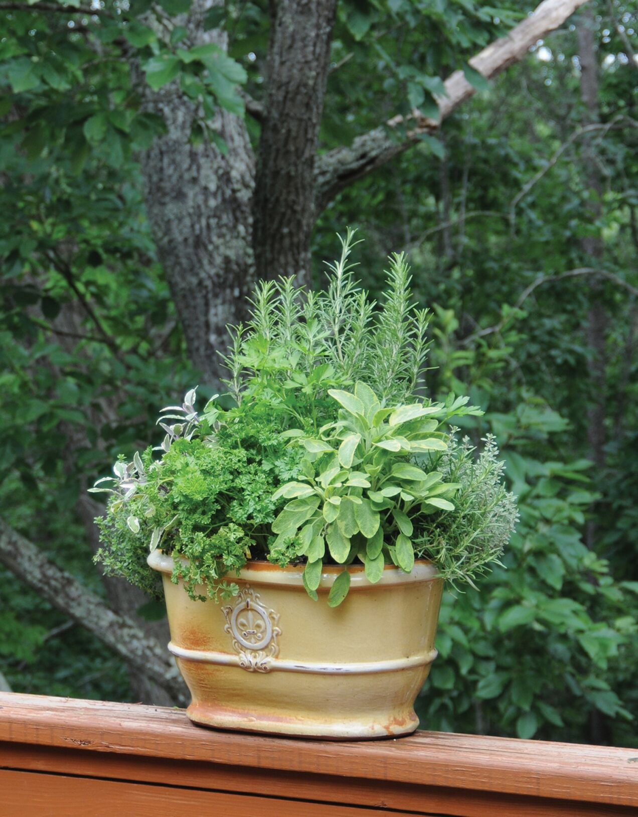 Parsley, sage, rosemary and thyme.